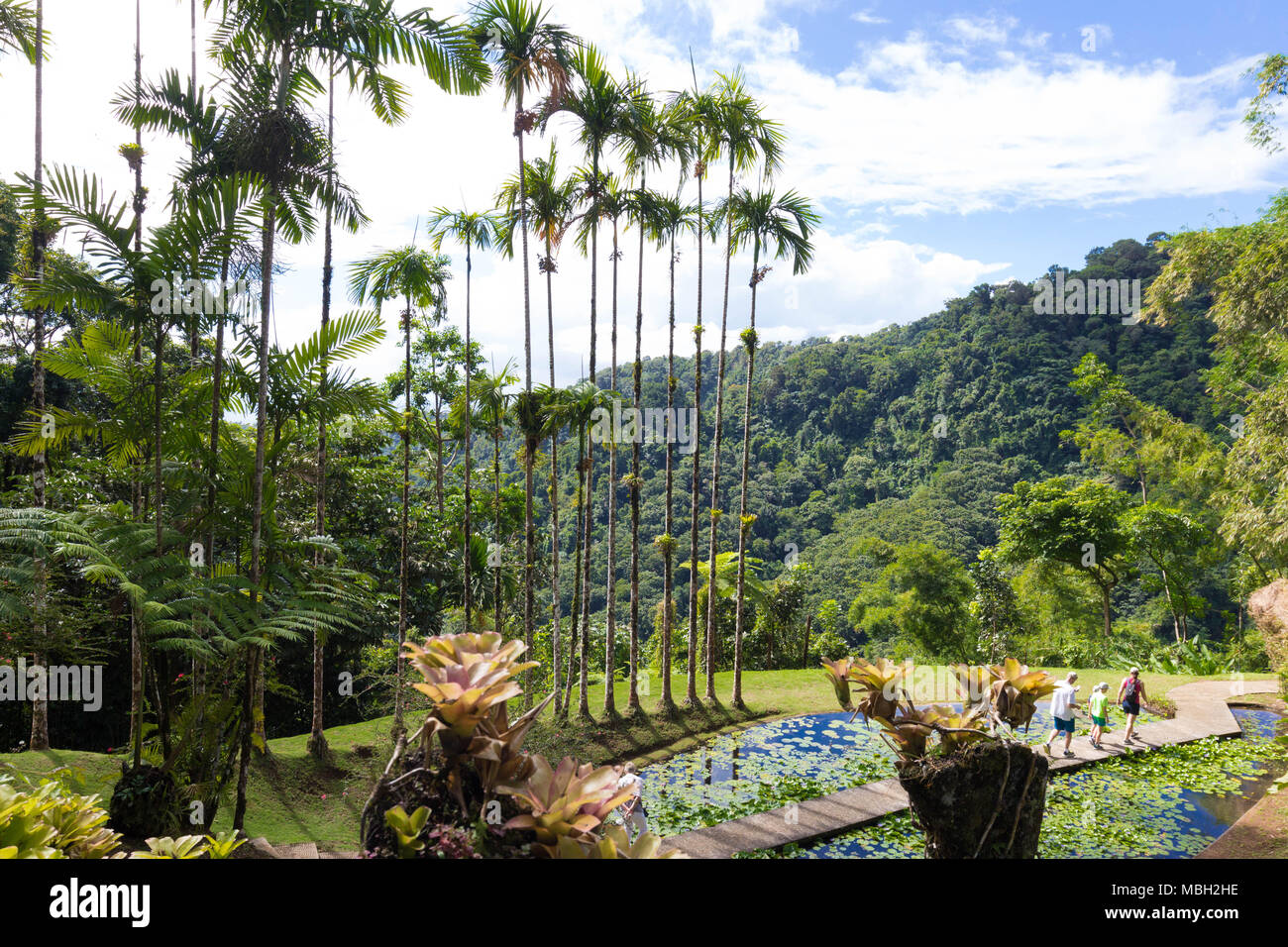 Der Garten von Balata, Martinique Island, French West Indies. Stockfoto