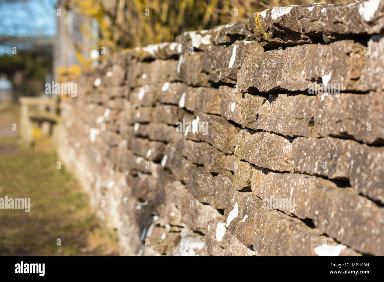 Flache Fokus der Kalkstein Wand im Sonnenlicht. Unscharfer Hintergrund. Lage Ottenby, Schweden. Stockfoto