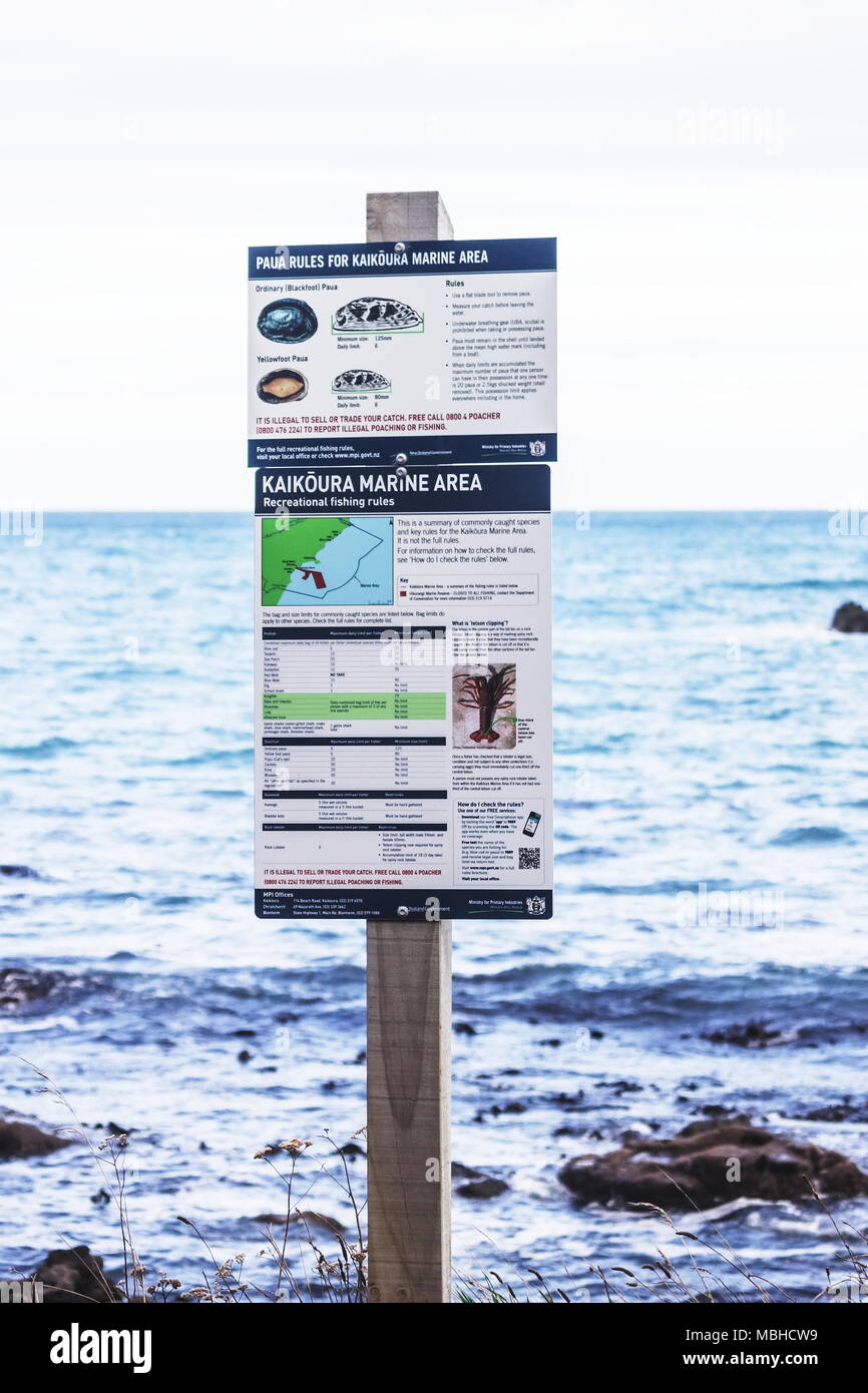 Information Board Übersicht Paua Regeln für die Kaikoura Marine Bereich vom Ministerium für die Grundstoffindustrie, Neuseeland ausgestellt. Stockfoto