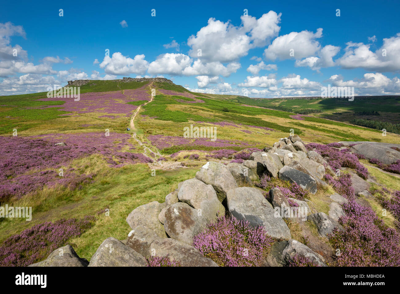 Higger Tor gesehen von Carl Wark in der Nähe von Hathersage im Peak District National Park, Derbyshire, England. Tag Sommer mit Heather in voller Blüte. Stockfoto