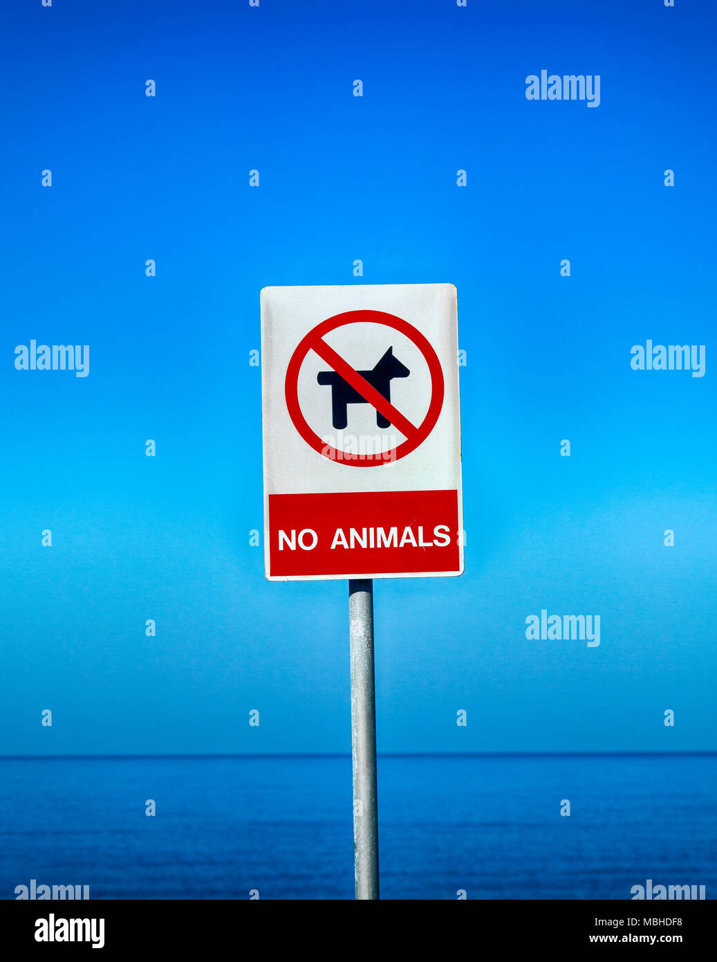 Keine Tiere Zeichen gegen den blauen Himmel und das Meer. Stockfoto