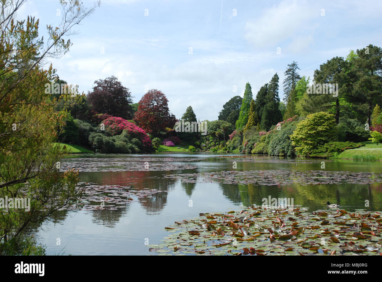 Sheffield Park Gardens Stockfoto