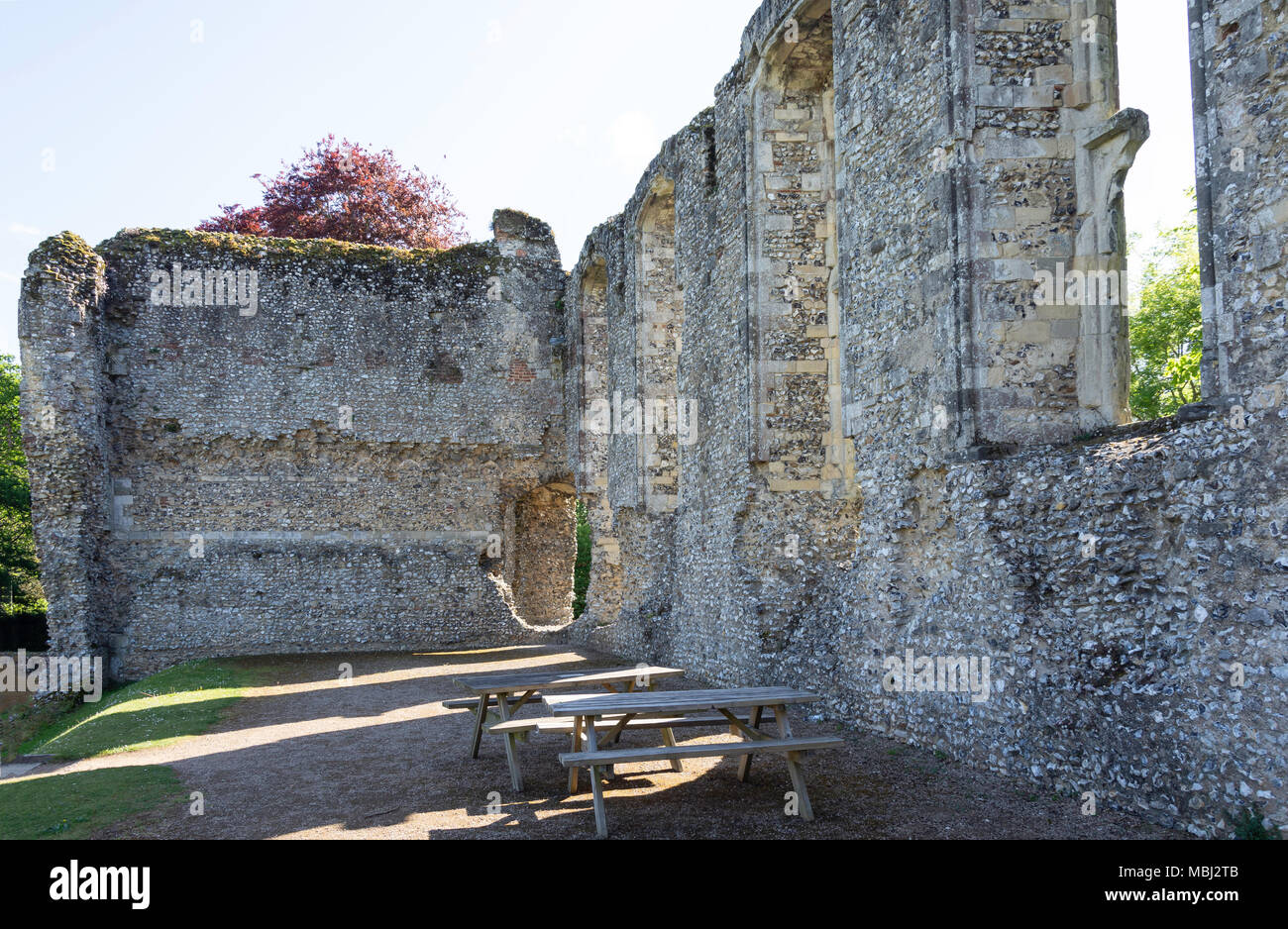 Bishop's Waltham Palace Ruine, Bishops Waltham, Hampshire, England, Vereinigtes Königreich Stockfoto