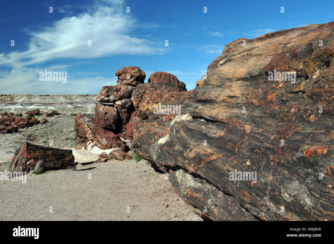 Ein fossiles Log wird dargestellt, gegen eine karge Landschaft im Petrified Forest National Park im nordöstlichen Arizona. Stockfoto