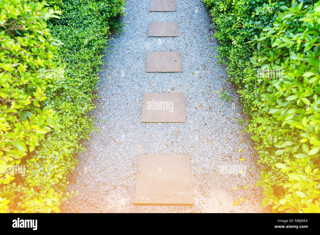 Gehweg Stein im Garten Stockfoto