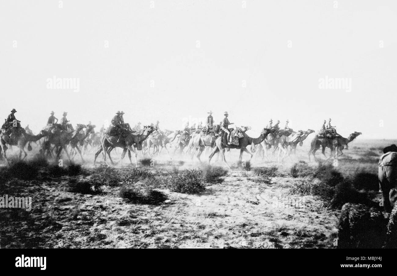 Australier auf Kamele - eine Löchrige Land Kontingent Stockfoto