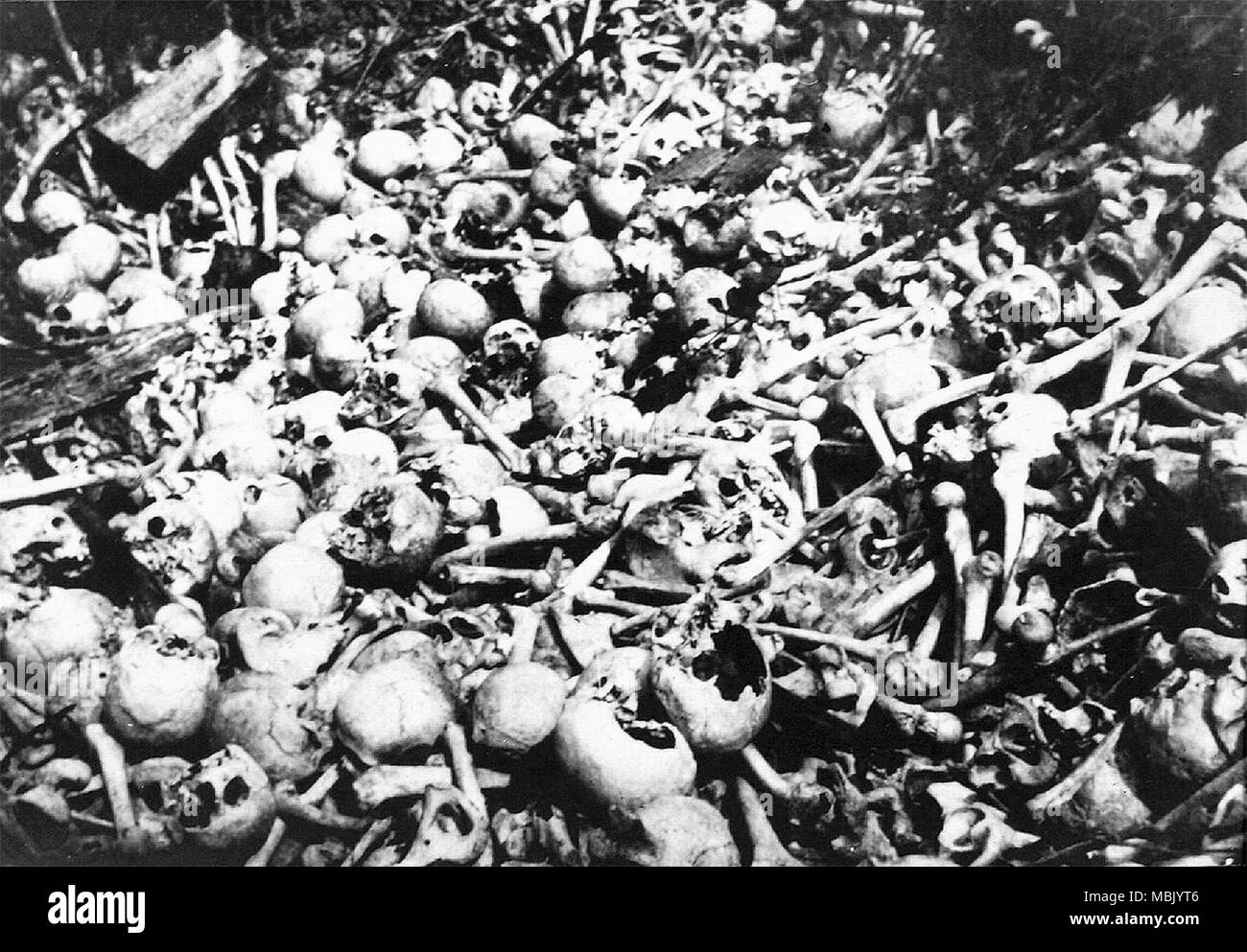 Amerikanische Expeditioner Fotos Schädel & Knochen Stockfoto