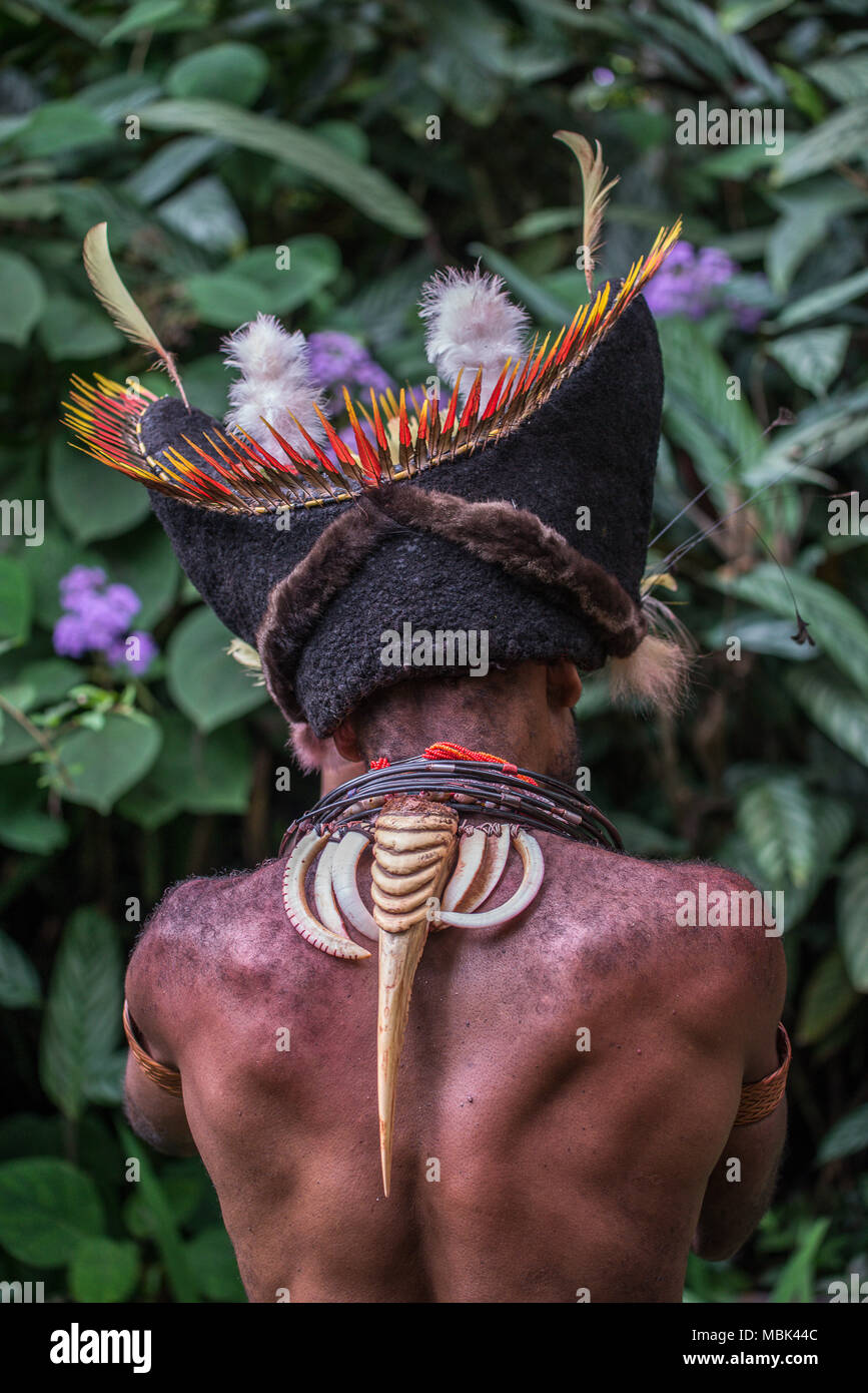 Rückansicht eines erwachsenen Huli Wigman immer bereit für ein singen-show Singen, Tari Tal, Papua-Neuguinea Stockfoto
