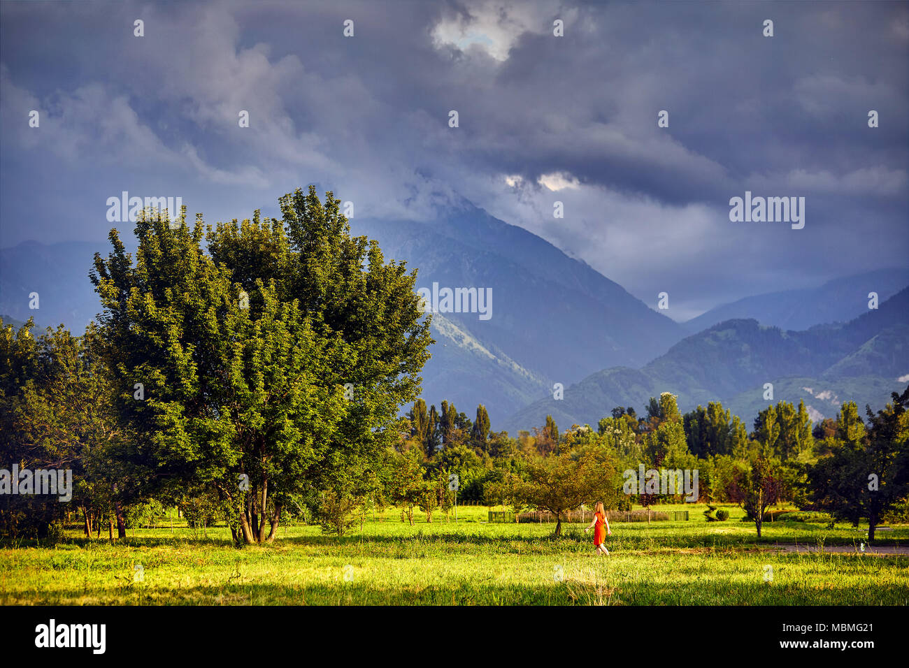 Die Frau im roten Kleid zu Fuß zum Großen Baum im Park mit bewölkt Berge in Almaty, Kasachstan Stockfoto