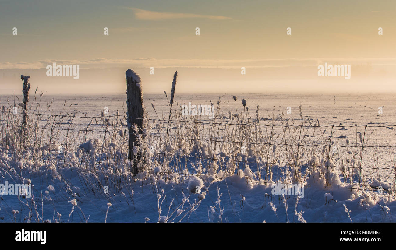 Diese kalte Zaun Stockfoto