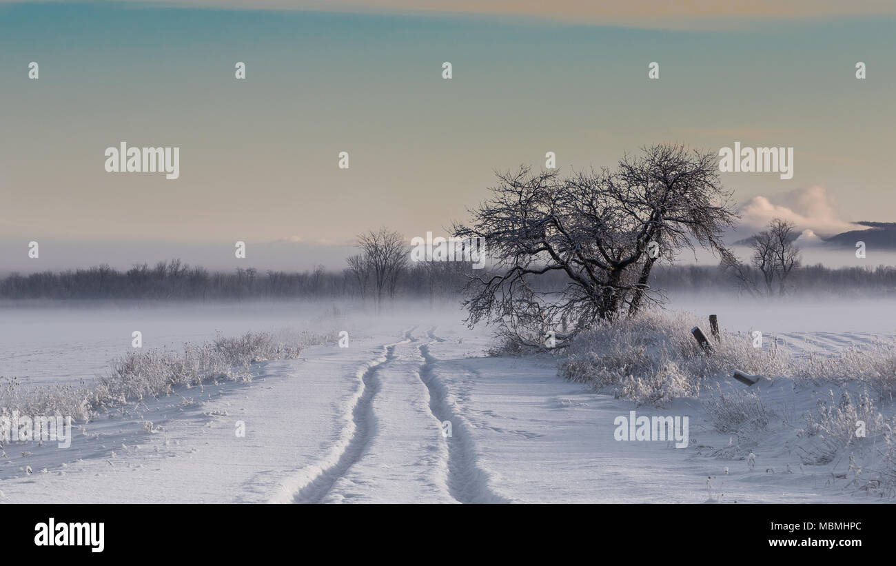 Die kalte Straße Stockfoto