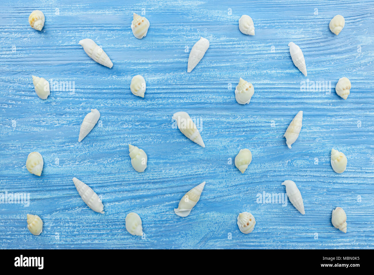 Weiße Muscheln auf Holz gemalte Hintergründe. Hintergrund Sommerurlaub. Stockfoto