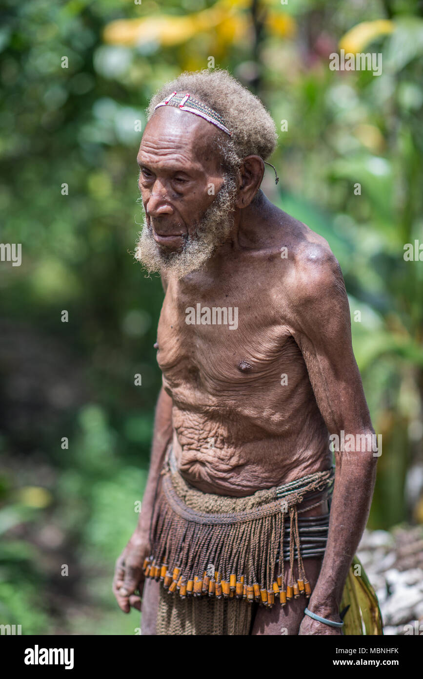 Porträt eines alten Huli wigmaster, Tari Tal, Papua-Neuguinea Stockfoto
