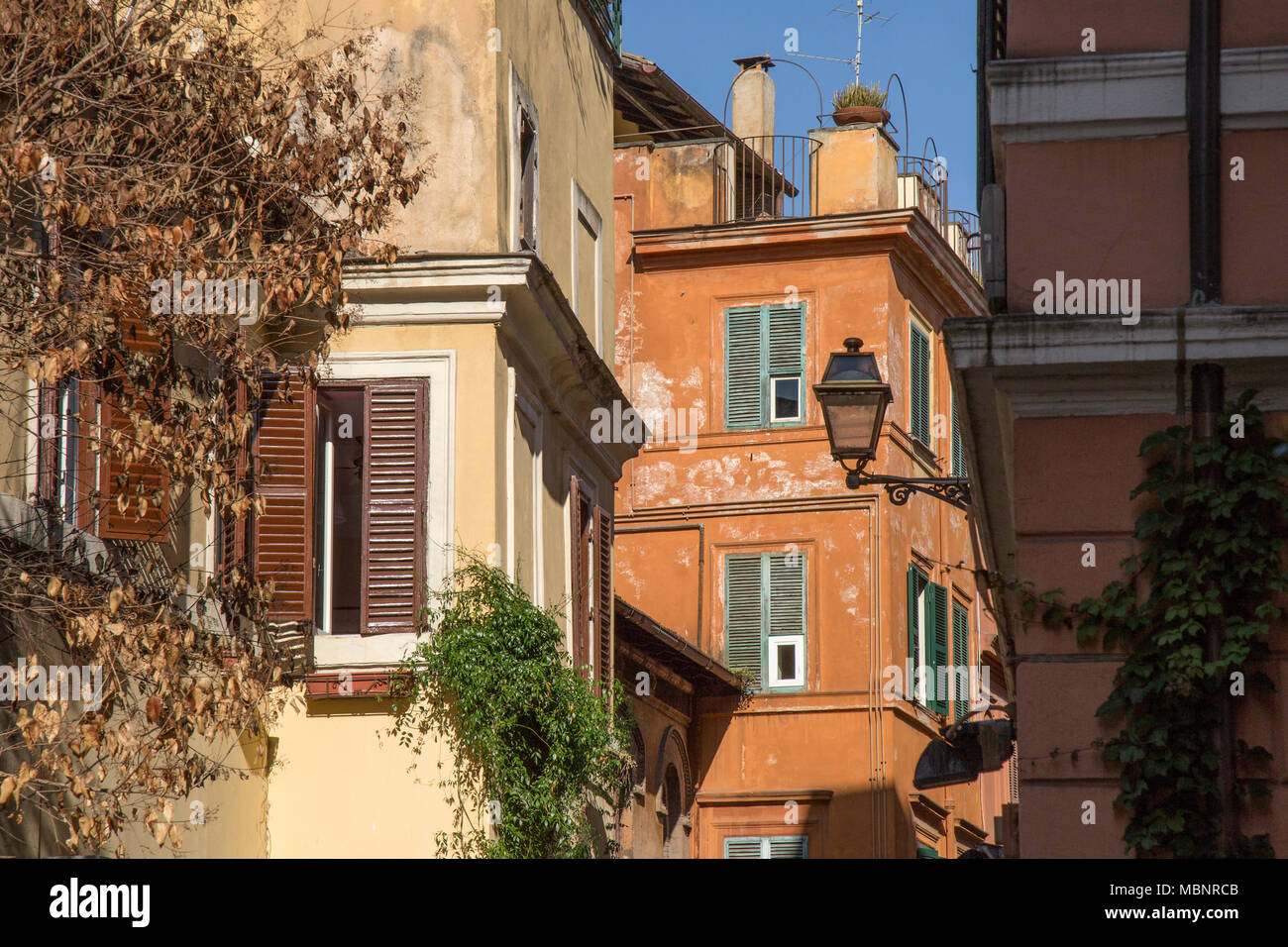 Eine italienische Straße Szene mit Kletterpflanzen auf Gebäude im Viertel Trastevere in Rom, Italien. Stockfoto