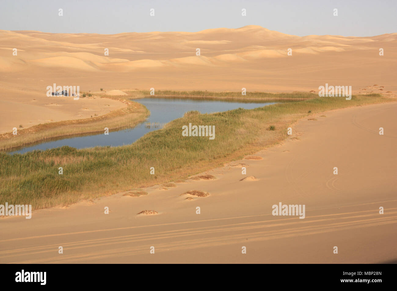 Ein kleines Frisches Wasser Oase von Sanddünen in der Wüste Sahara in der Nähe von Siwa umgeben Stockfoto