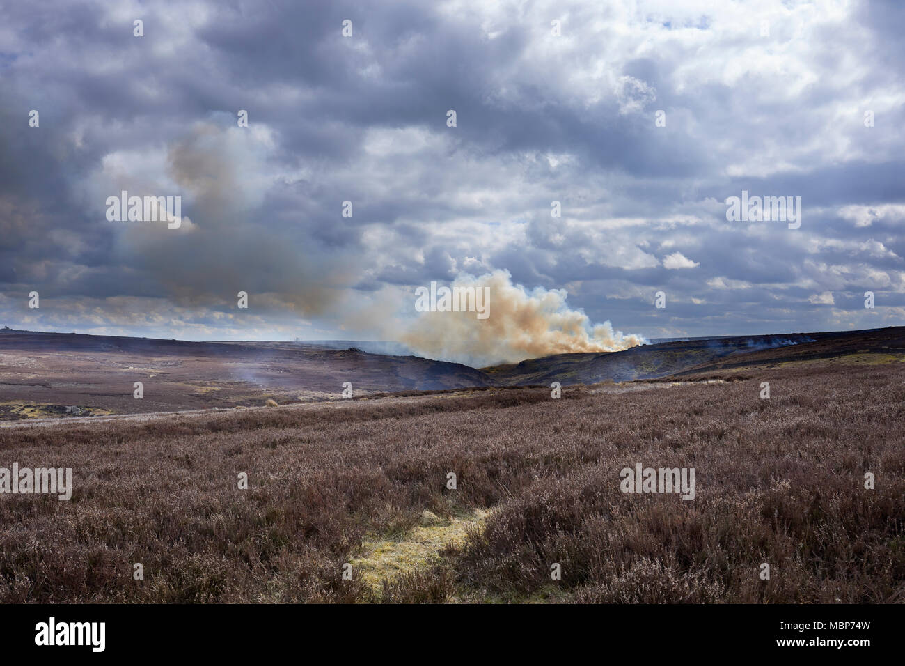 Heather Brennen auf Grouse Moor im Februar. Suchen south west von Low Moor in Richtung Benny verbogen und Greenhow Sike. Nidderdale. Stockfoto