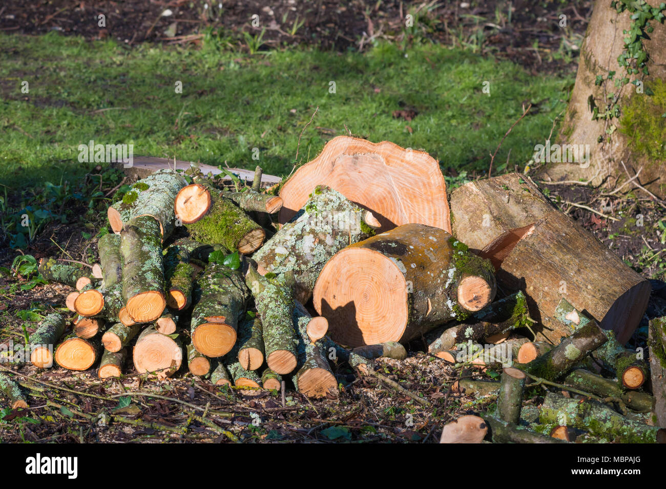 Protokolle oben gehackt bereit für ein Feuer. Stockfoto