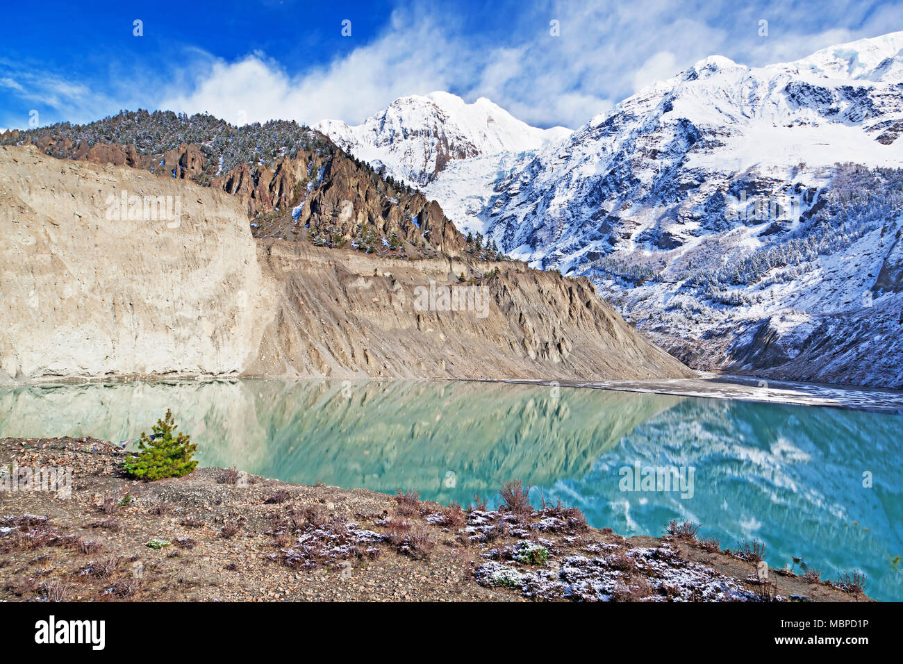 Gangapurna See, Annapurna Gebiet, Himalaya, Nepal Stockfoto Gangapurna See, Annapurna Gebiet, Himalaya, Nepal Stockfoto