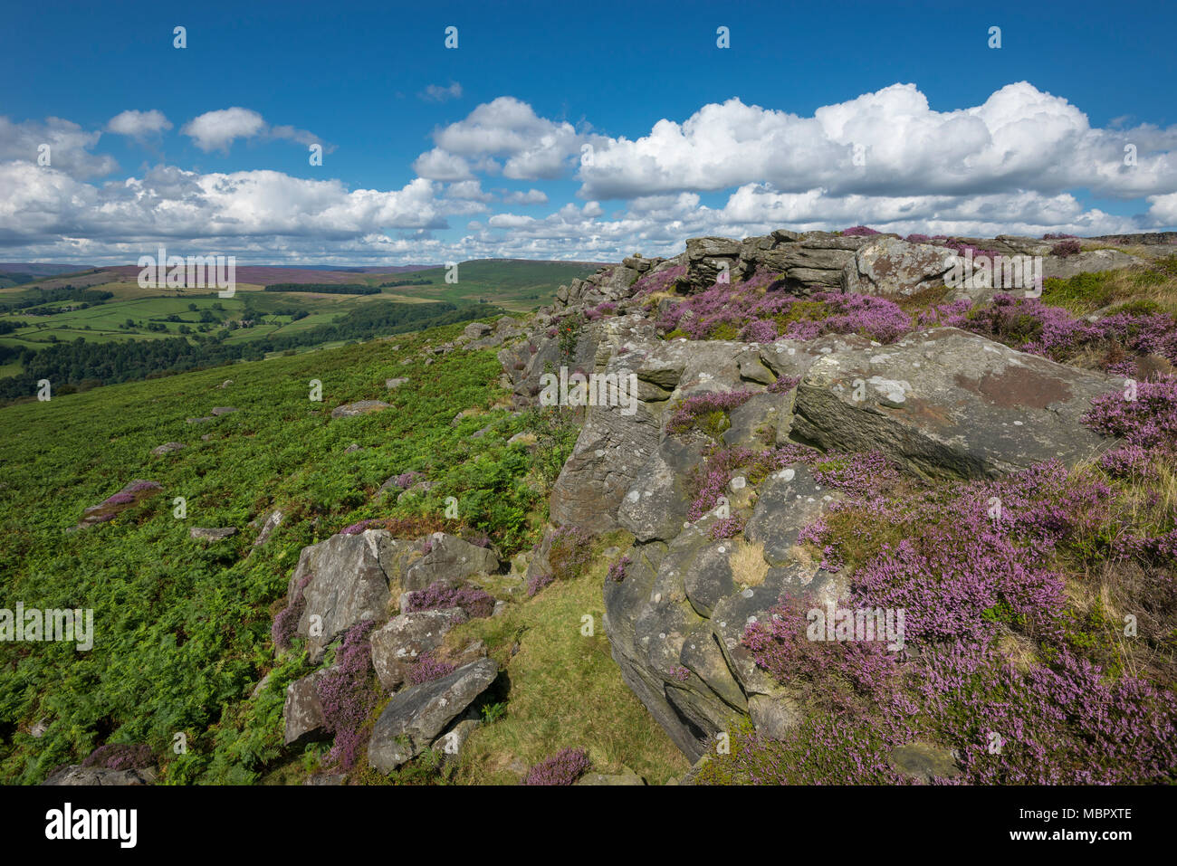 Tag Sommer am Carhead Felsen in der Nähe von Hathersage im Peak District National Park, Derbyshire, England. Stockfoto