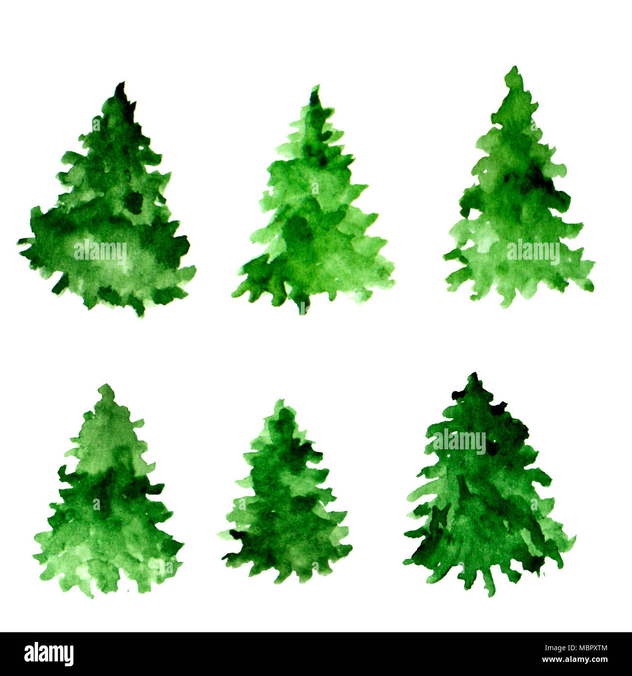 Satz von Green aquarell Fichten. Fir Tree Collection. Stockfoto
