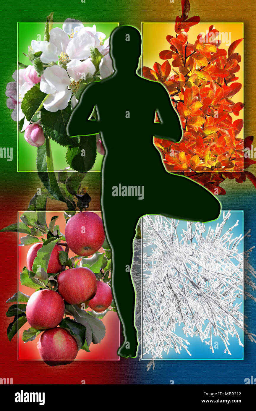 Weibliche yoga Abbildung gegen Collage aus Bildern, die vier Jahreszeiten des Jahres. Gesund und sportlich ganzjährig Konzept. Stockfoto