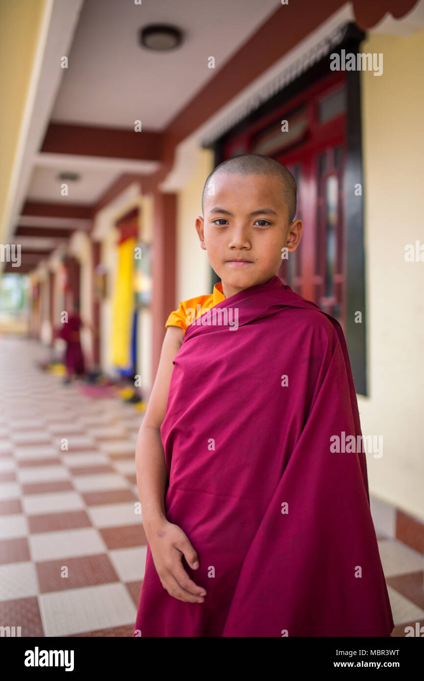 Gangtok, Indien - 3. Mai 2017: Nicht identifizierte junge Novizin buddhistischer Mönch im traditionellen roten Roben stand vor der Tsuglakhang Kloster in Gangtok, Stockfoto
