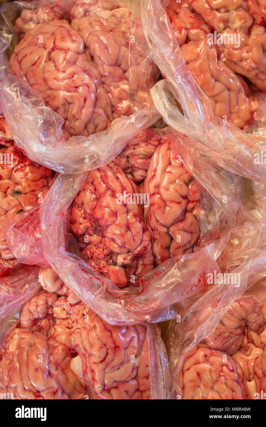 Frische tierische Gehirne zum Verkauf auf einen Markt in Kambodscha Stockfoto