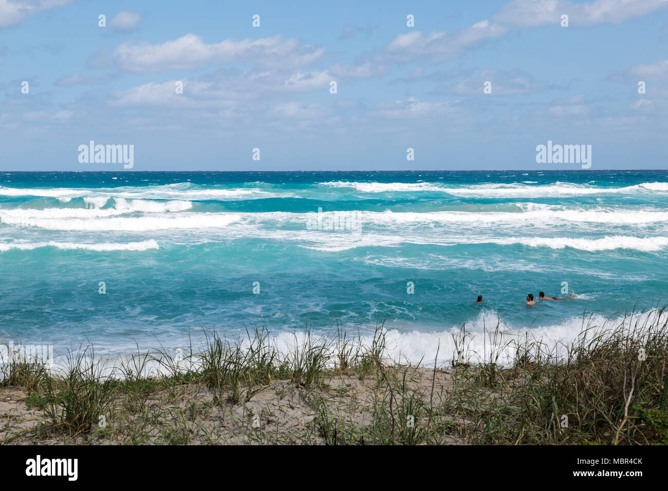 Junge Menschen schwimmen in rauen Gewässern vor der Küste von Florida in West Palm Beach. Stockfoto