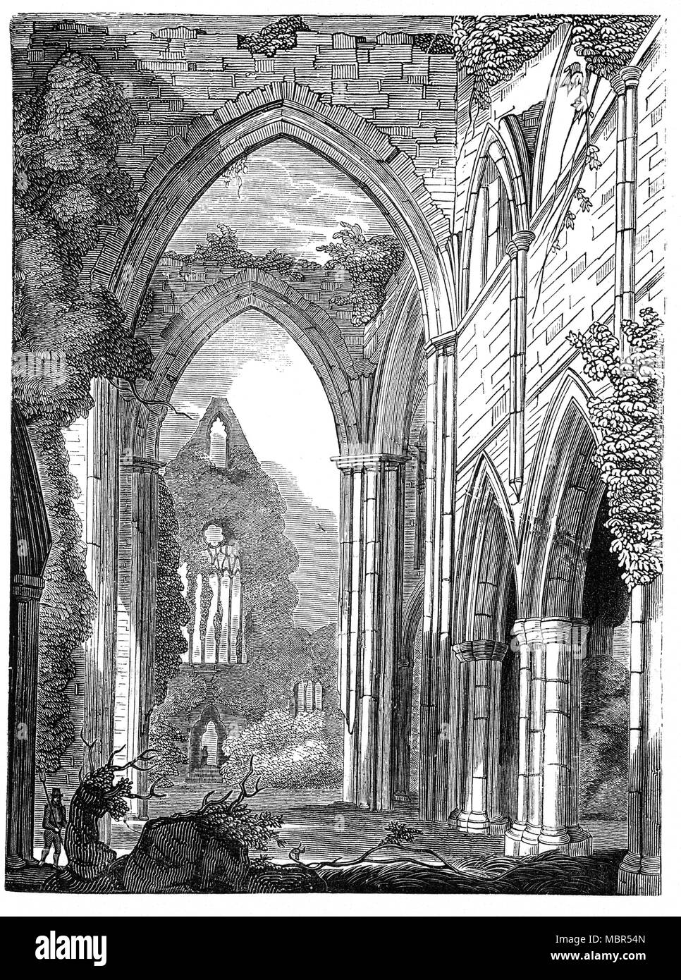 Tintern Abbey wurde von Walter de Clare, Herr von Chepstow gegründet, am 9. Mai 1131. Es ist neben dem Dorf Tintern in Monmouthshire gelegen, an der Walisischen Bank des Flusses Wye. Im Jahre 1326 verbrachten König Edward II Tintern für zwei Nächte. 1349 Der schwarze Tod fegte das Land und es war unmöglich, neue Rekruten für die Laien Bruderschaft zu gewinnen. Es ins Verderben stürzte nach der Auflösung der Klöster im 16. Jahrhundert, die Reste wurden in Poesie gefeiert und oft von Besuchern aus dem 18. Jahrhundert gemalt. Stockfoto Tintern Abbey wurde von Walter de Clare, Herr von Chepstow gegründet, am 9. Mai 1131. Es ist neben dem Dorf Tintern in Monmouthshire gelegen, an der Walisischen Bank des Flusses Wye. Im Jahre 1326 verbrachten König Edward II Tintern für zwei Nächte. 1349 Der schwarze Tod fegte das Land und es war unmöglich, neue Rekruten für die Laien Bruderschaft zu gewinnen. Es ins Verderben stürzte nach der Auflösung der Klöster im 16. Jahrhundert, die Reste wurden in Poesie gefeiert und oft von Besuchern aus dem 18. Jahrhundert gemalt. Stockfoto