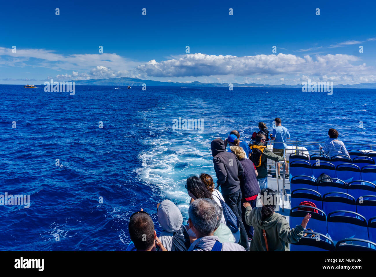 Eine Gruppe von Touristen auf eine Whale Watching Tour im Atlantischen Ozean. In Sao Miguel, Azoren. Stockfoto