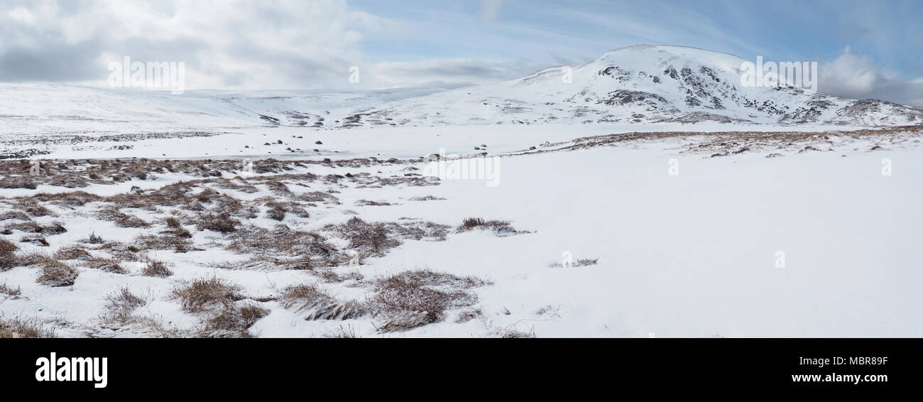 Verschneite Landschaft in der Nähe von Carn nan Amhaichean, Schottland Stockfoto