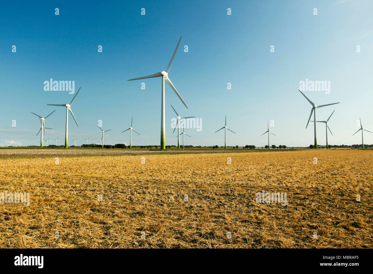 Windpark auf Stoppeln Feld geerntet, in der Nähe von Jávea, Fehmarn, Schleswig-Holstein, Deutschland Stockfoto