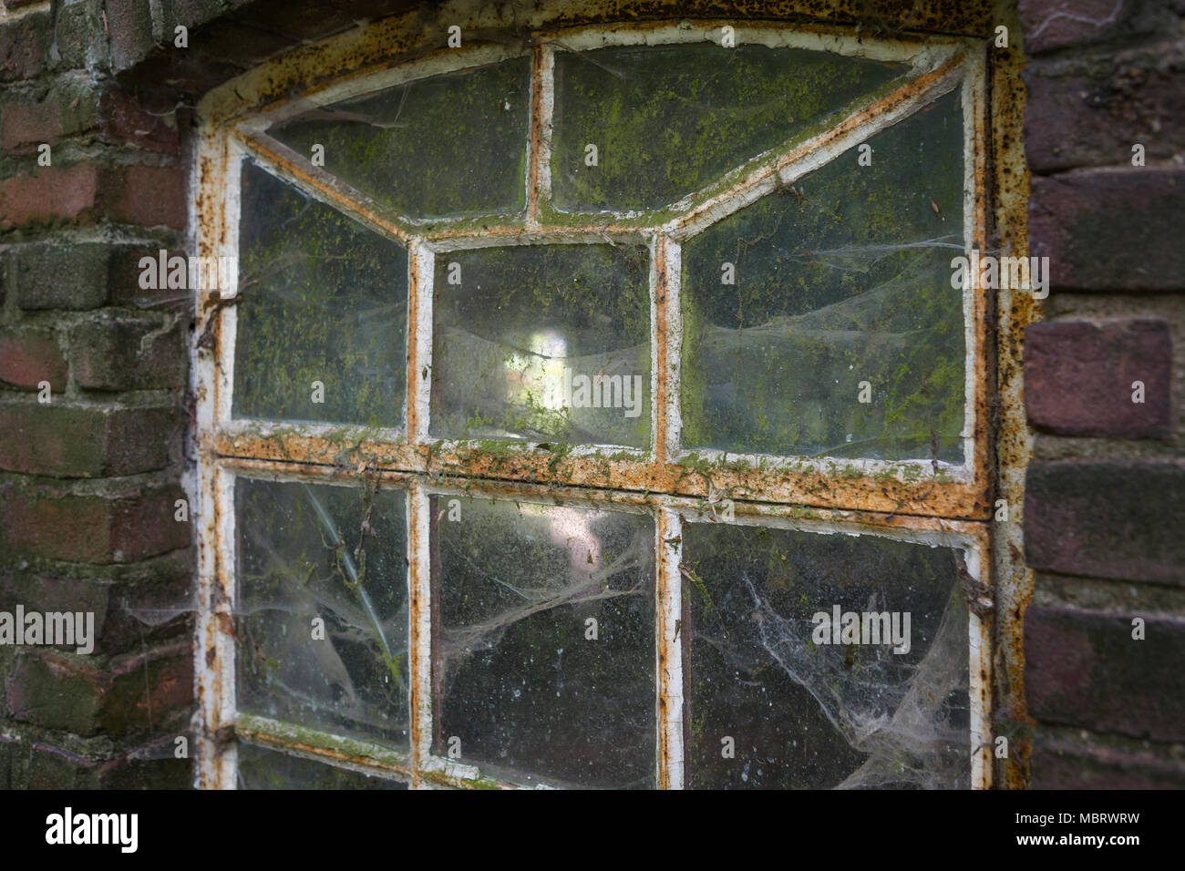 Vintage Fenster einer stabil mit Spinnweben und Schmutz in den Niederlanden, Europa Stockfoto