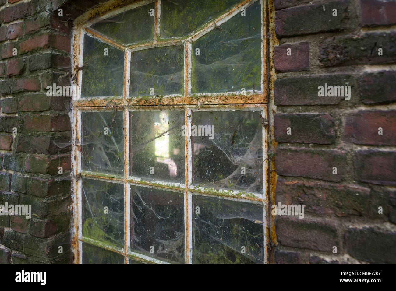 Vintage Fenster einer stabil mit Spinnweben und Schmutz in den Niederlanden, Europa Stockfoto