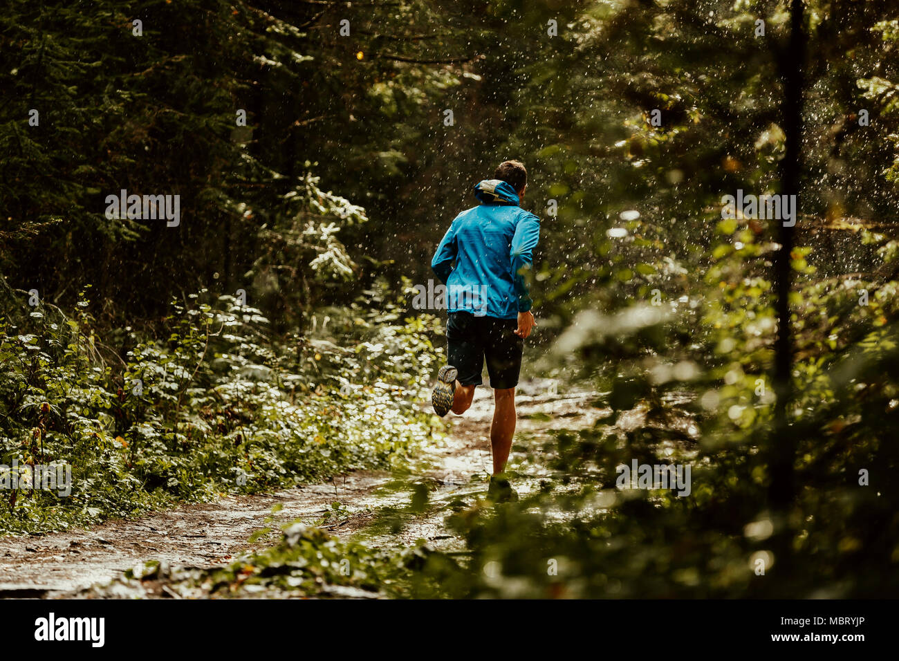 Sportler Läufer in Blau Sport Jacke Forest Trail im Regen Stockfoto