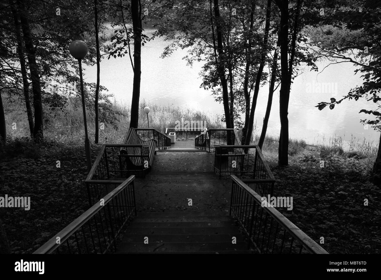 Schwarz-weiß Foto große Treppe abwärts zum See Stockfoto