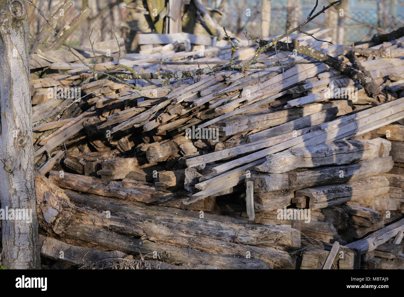 Feuerholz stapeln Stockfoto