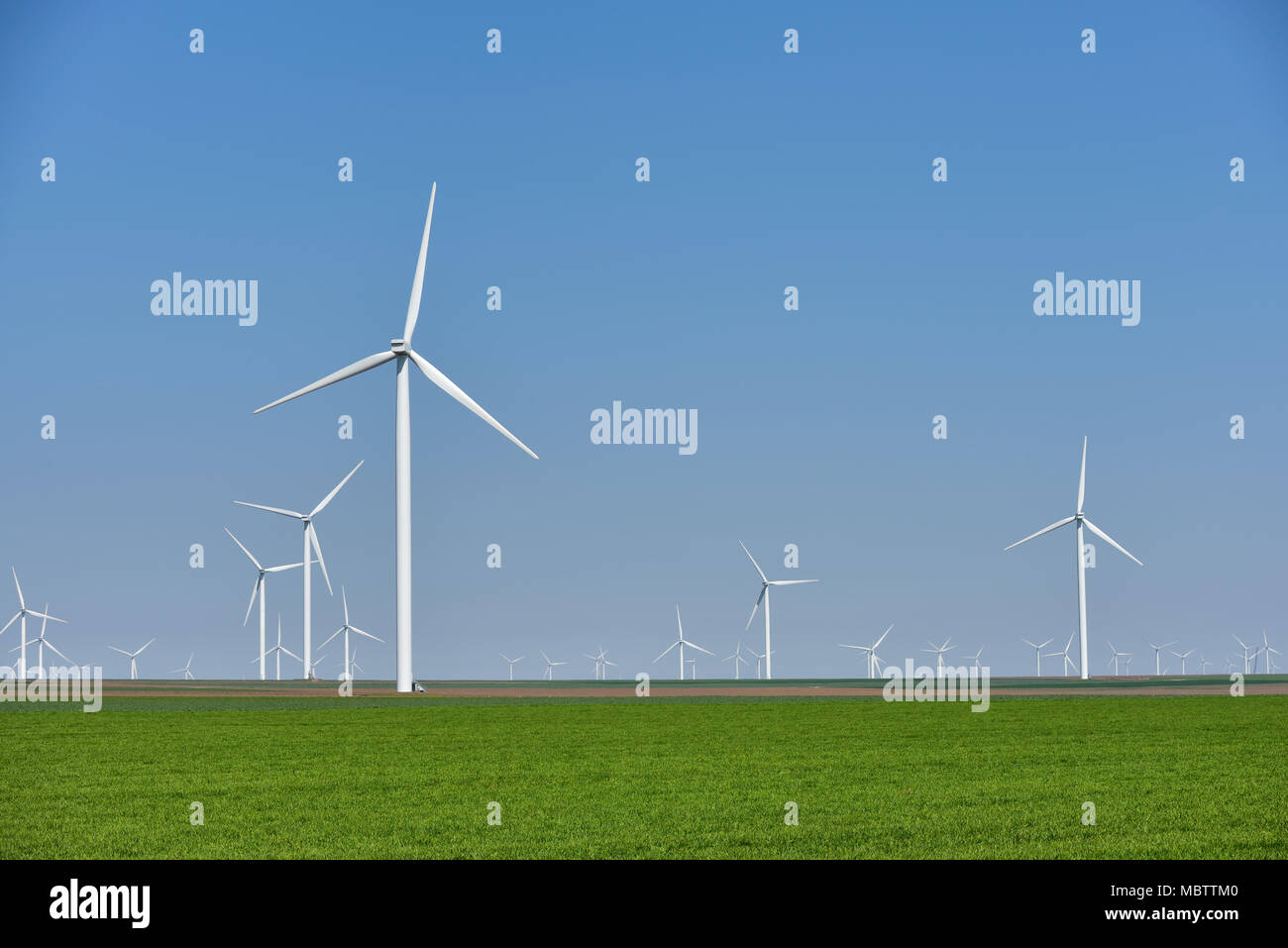 Äolische farm erneuerbare Energie in frischem Grün gegen den klaren blauen Himmel Stockfoto