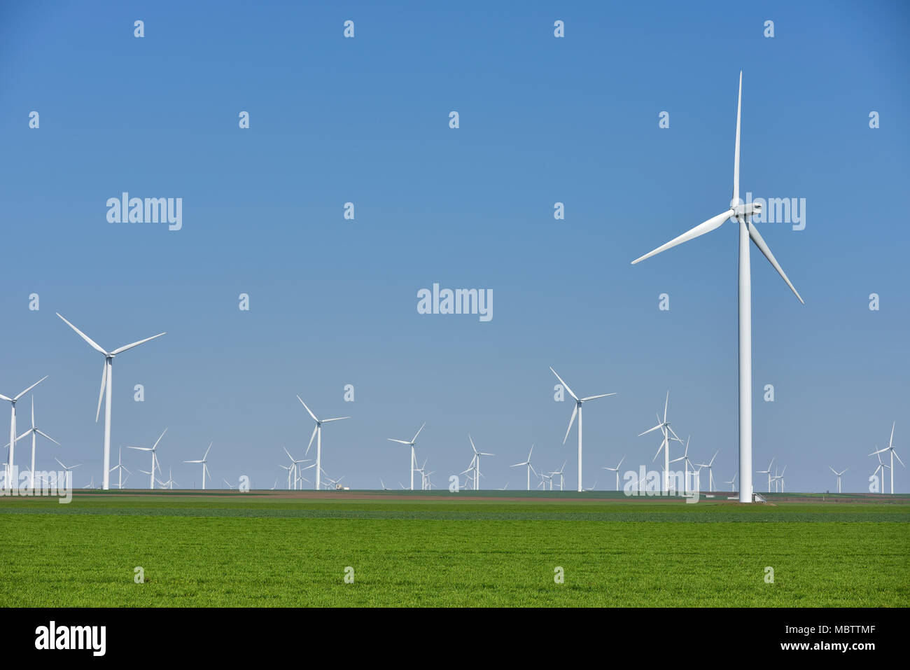 Äolische farm erneuerbare Energie in frischem Grün gegen den klaren blauen Himmel Stockfoto