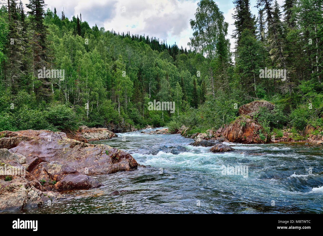 Sommer Landschaft. Schnell fließenden Gebirgsfluss unter dichten Wäldern und riesigen Steinen Stockfoto