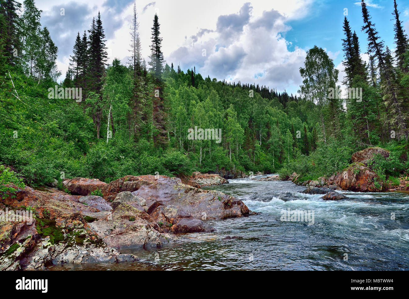 Sommer Landschaft. Schnell fließenden Gebirgsfluss unter dichten Wäldern und riesigen Steinen Stockfoto