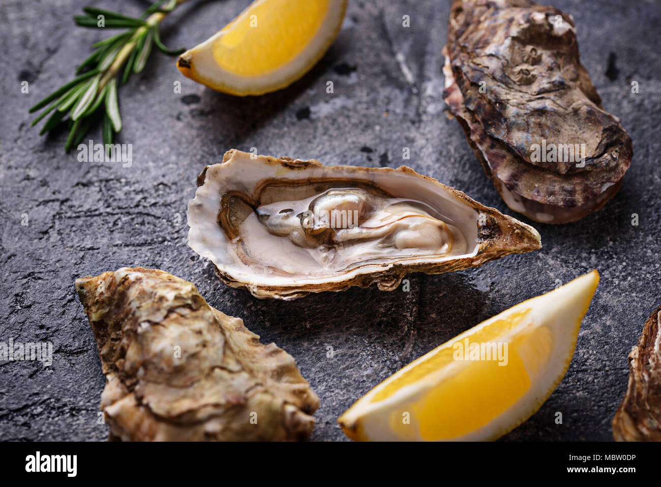 Frische Austern mit Zitrone und Rosmarin Stockfoto