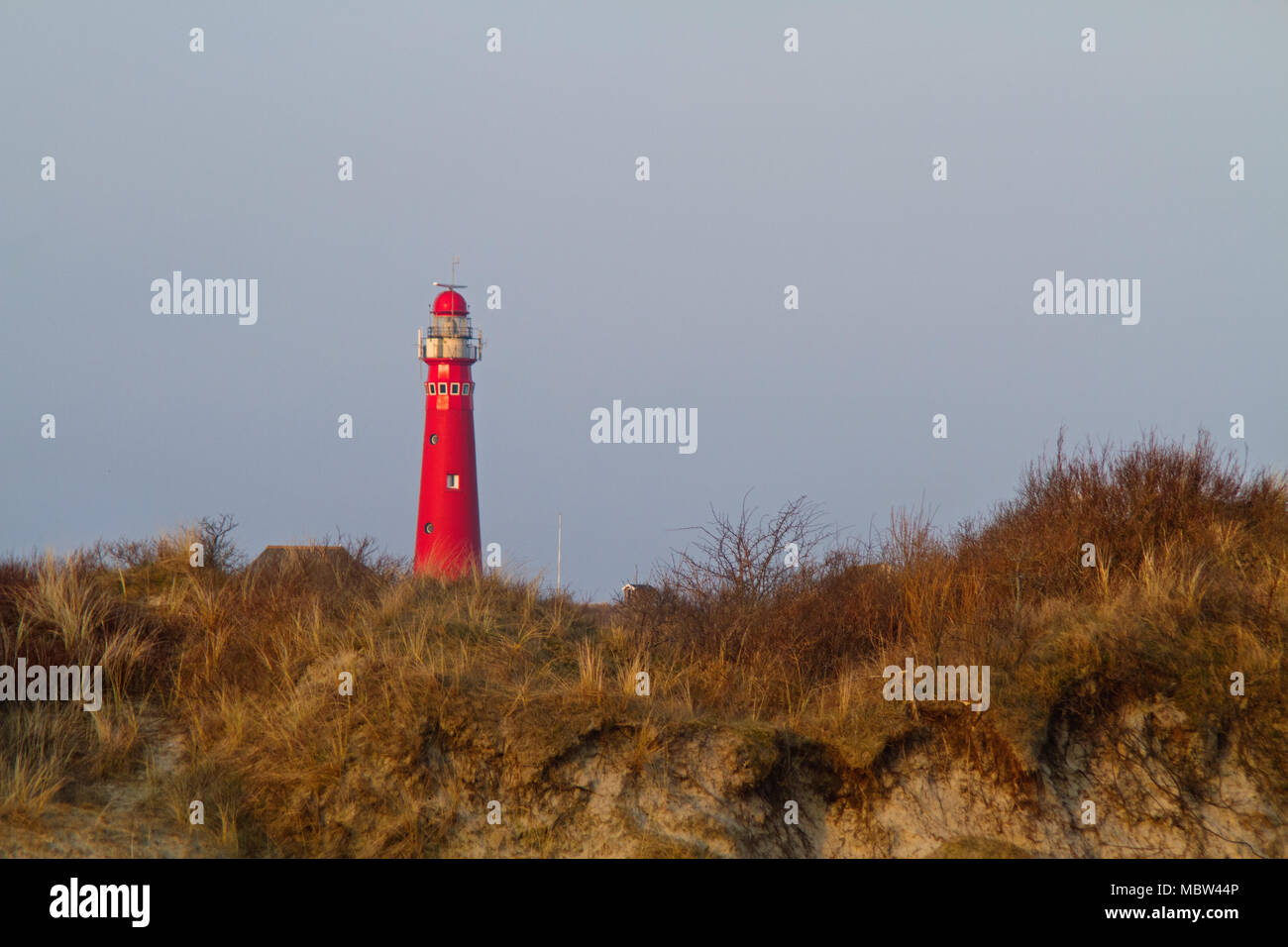 Rote Leuchtturm, einer Düne mit Marram Gras und Sanddorn im Vordergrund gewachsen Stockfoto