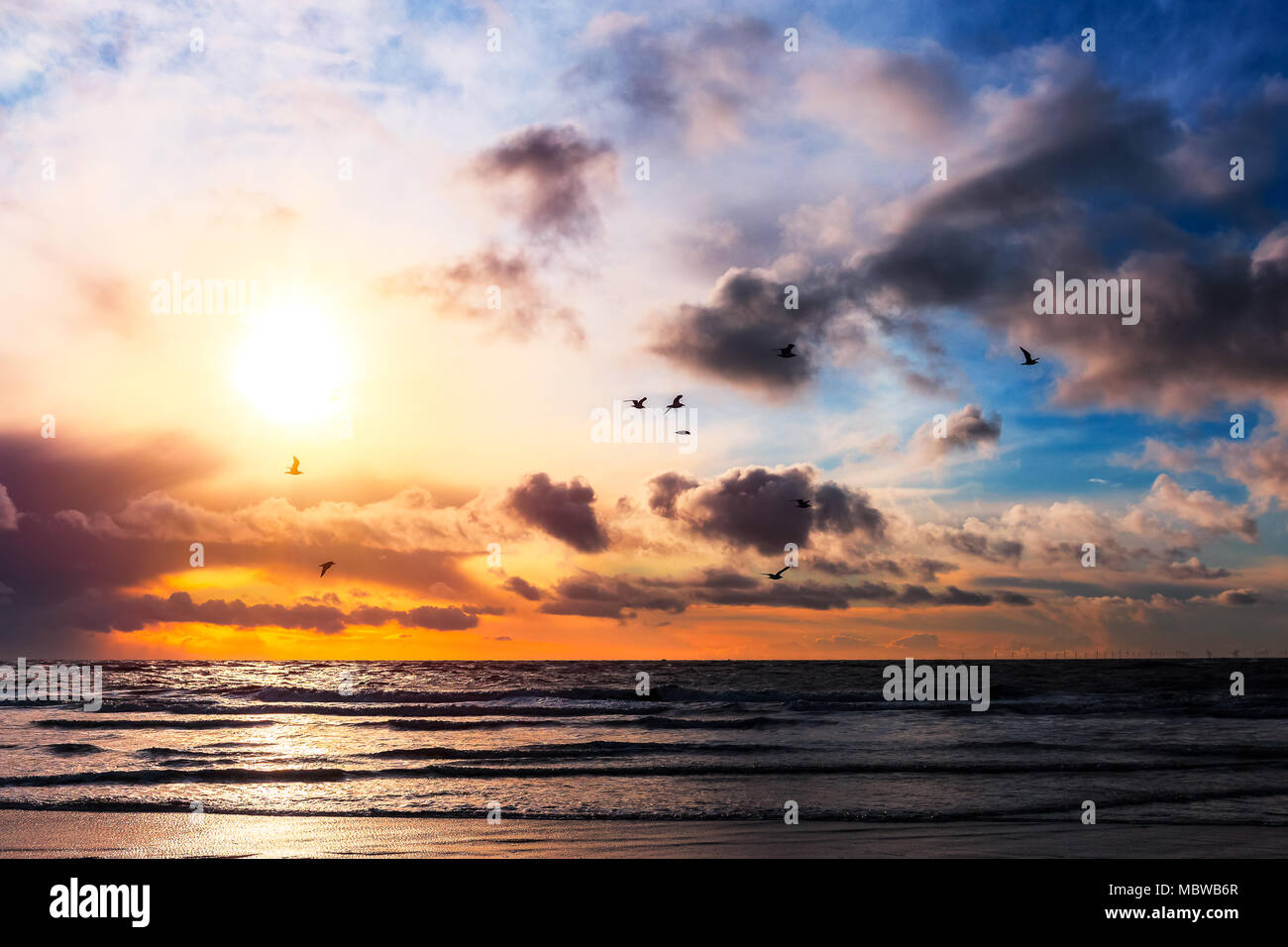 Vögel fliegen über einen Strand in der Nähe von Blavand Stockfoto