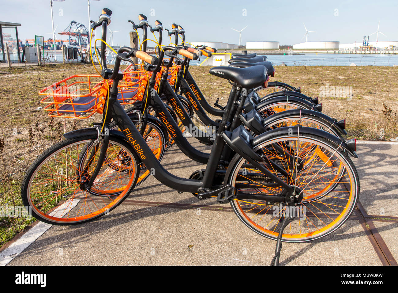 Leihfahrräder, in der Stadt, Rotterdam, Südholland, Niederlande, Mieten von  App, die Fahrräder überall in der Stadt rum sind, Provider Flick-Bike  Stockfotografie - Alamy