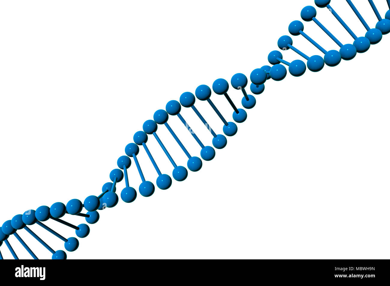 DNA-Molekül, das 3D-Modell auf weißem Hintergrund Stockfoto