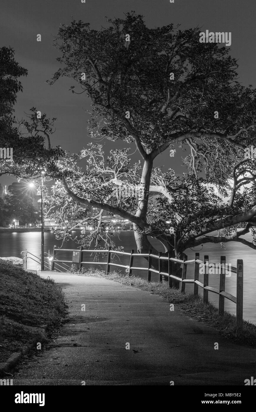 In der Nacht auf einem von Bäumen gesäumten Walkway an Frau von Macquarie Punkt auf dem Watten auf den Hafen von Sydney, Australien. Stockfoto