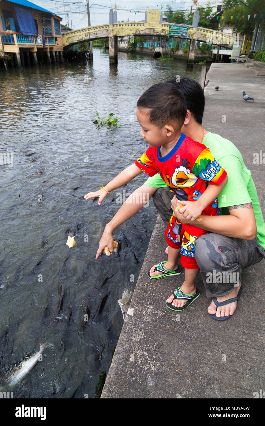 Fütterung Fisch auf einem Bangkok Canal, dann Buri, Thailand Stockfoto