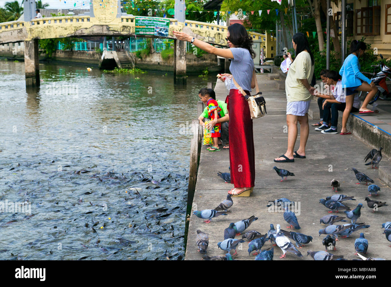 Fütterung Fisch auf einem Bangkok Canal, dann Buri, Thailand Stockfoto