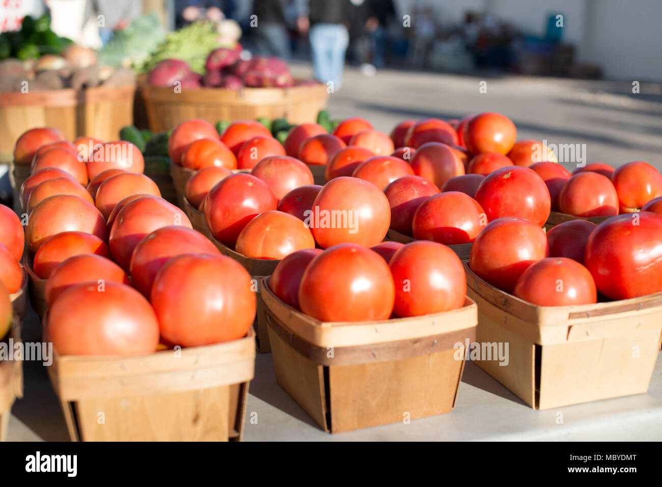 Körbe von Tomaten alle in einer Reihe an die lokalen Bauern markt Bauernhof frische Tomaten Stockfoto